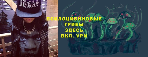 PSILOCYBIN Киренск