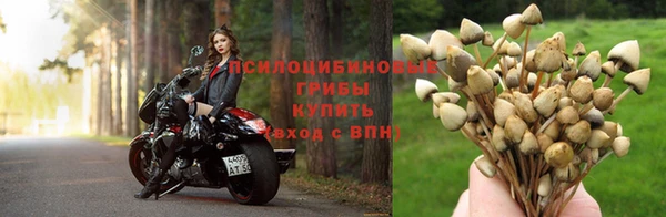 гидропоника Горняк