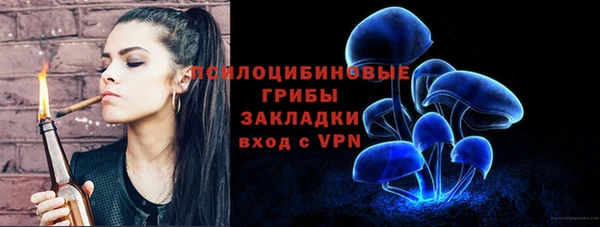 дмт Кинешма