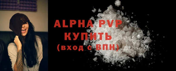 PSILOCYBIN Киренск