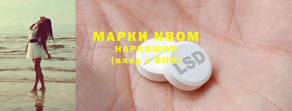 шишки Снежногорск