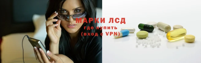 PSILOCYBIN Киренск