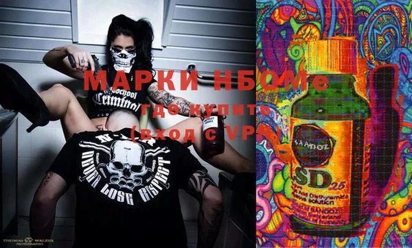 шишки Снежногорск